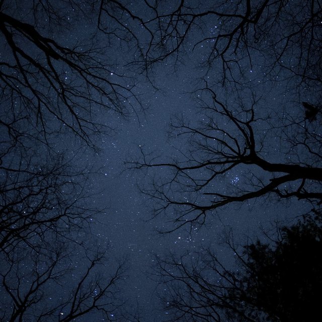 entropy cover art